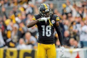 Pittsburgh Steelers Traded  A Young Receiver Due To His Immaturity 