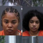 lions-robbery-case-2